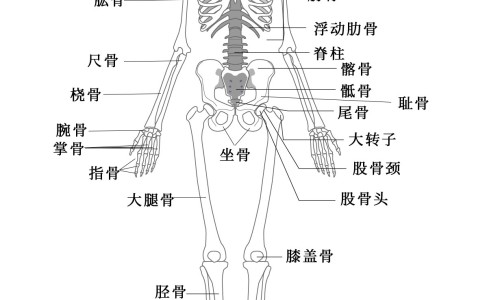 炒菜有营养吗-炒菜有营养吗,中国炒菜有什么功效和作用网站