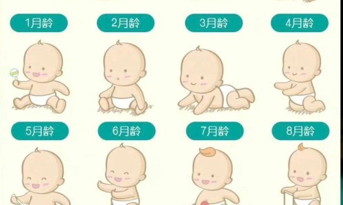 炒菜有营养吗-炒菜有营养吗,中国炒菜有什么功效和作用网站
